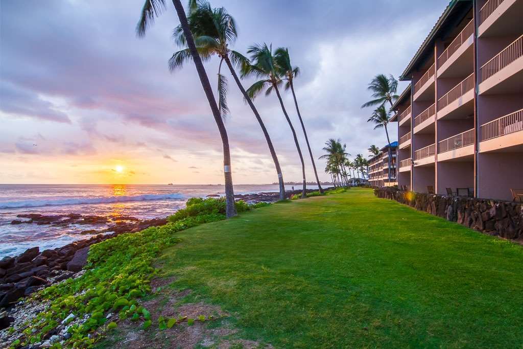 Kona Reef Hotel Kailua-Kona Natuur foto